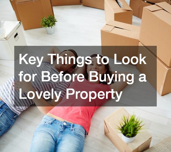 Key Things to Look For Before Buying a Lovely Property